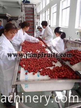 Small scale date pulp juice concentrate processing machine